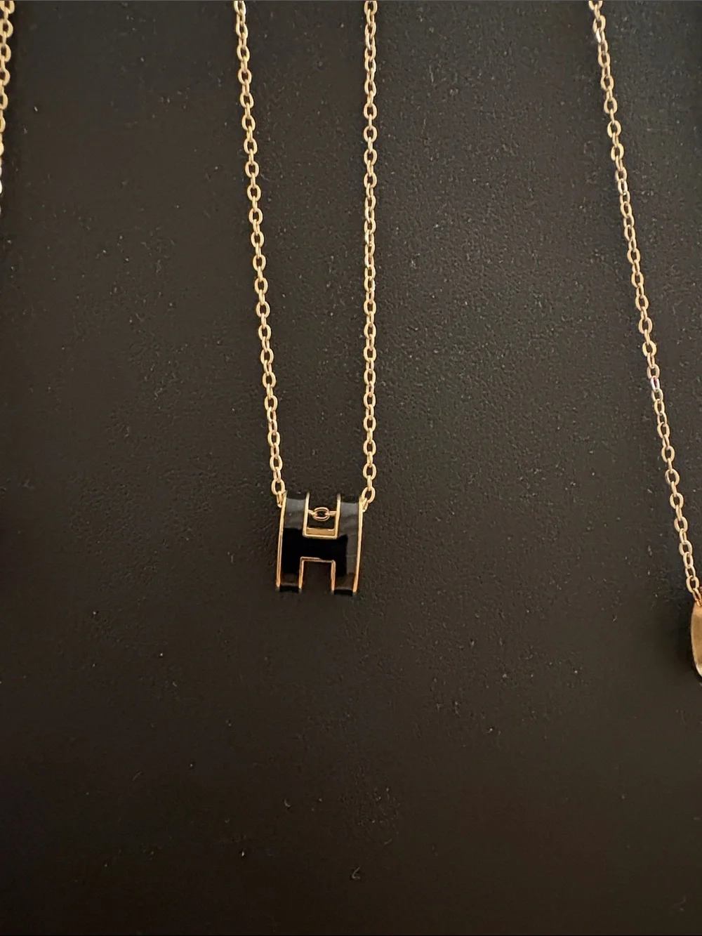 Stainless steel Black Gold-Tone Medium Initial Pendant Necklace